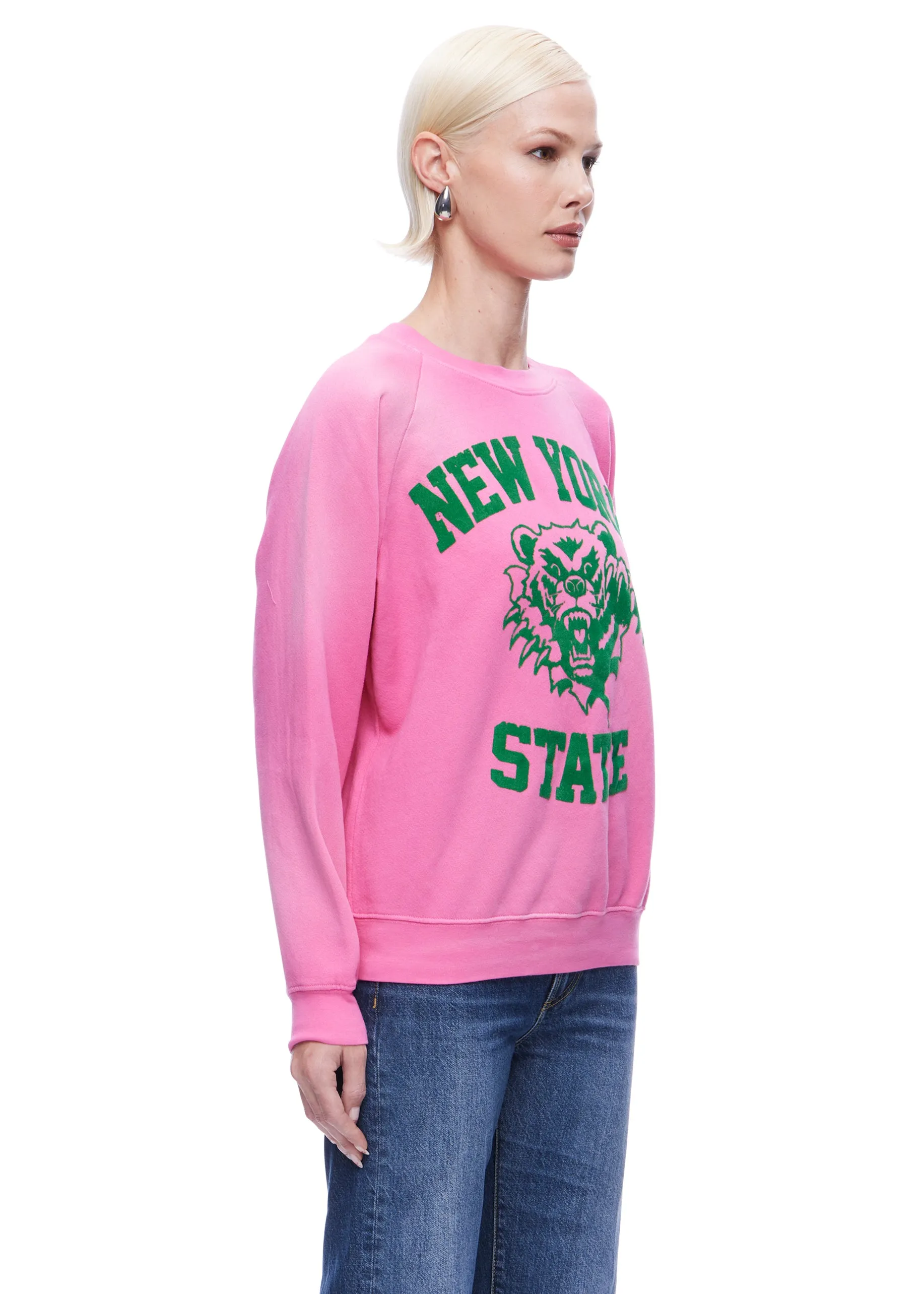 Daydreamer New York State Bear Vintage Sweatshirt