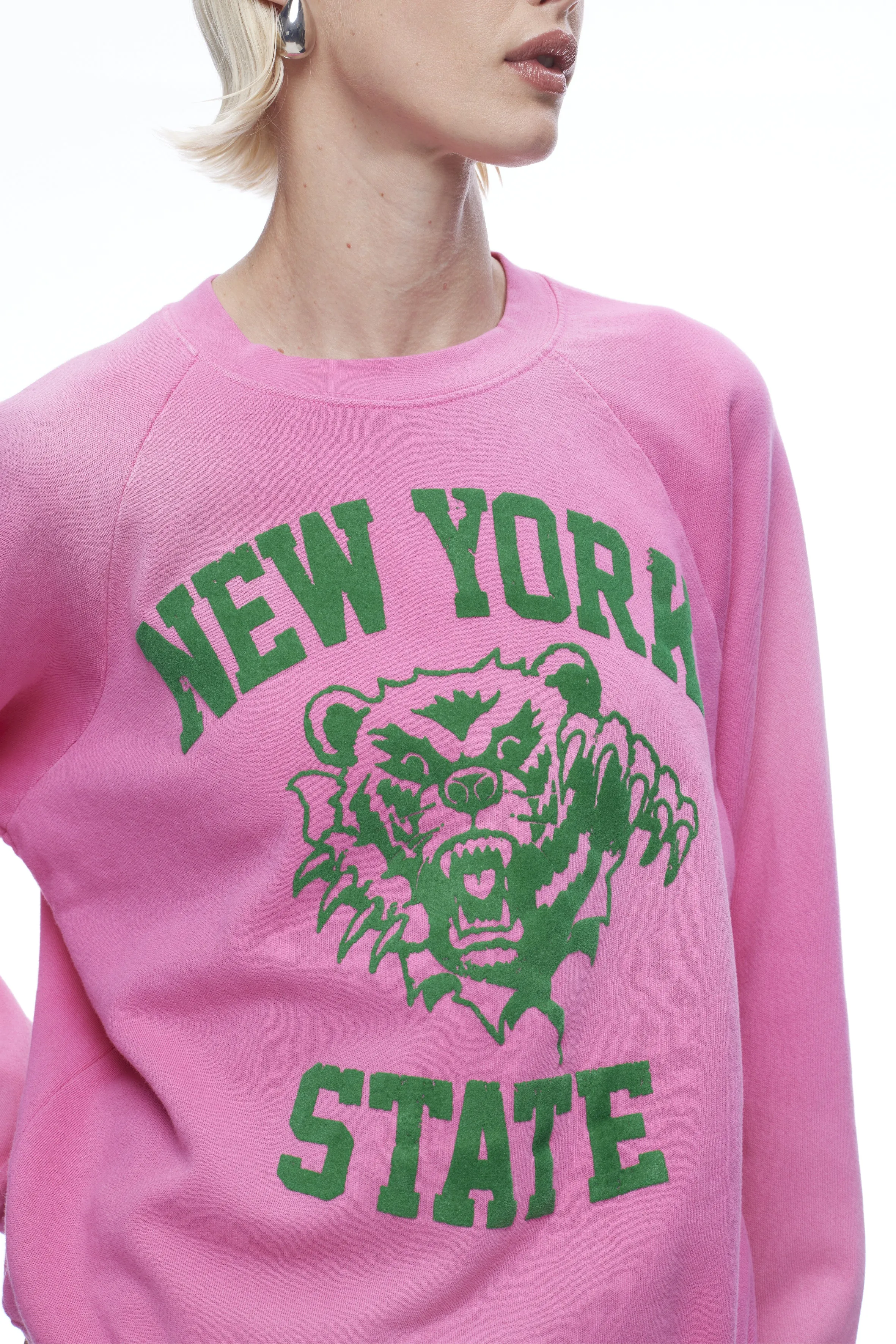 Daydreamer New York State Bear Vintage Sweatshirt